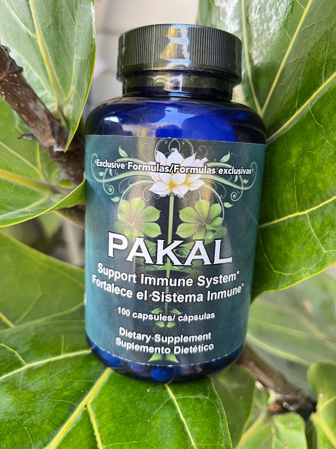 PAKAL